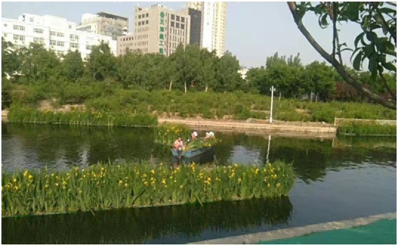 河路治理